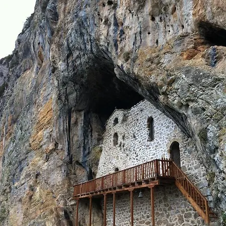 Junior Suites